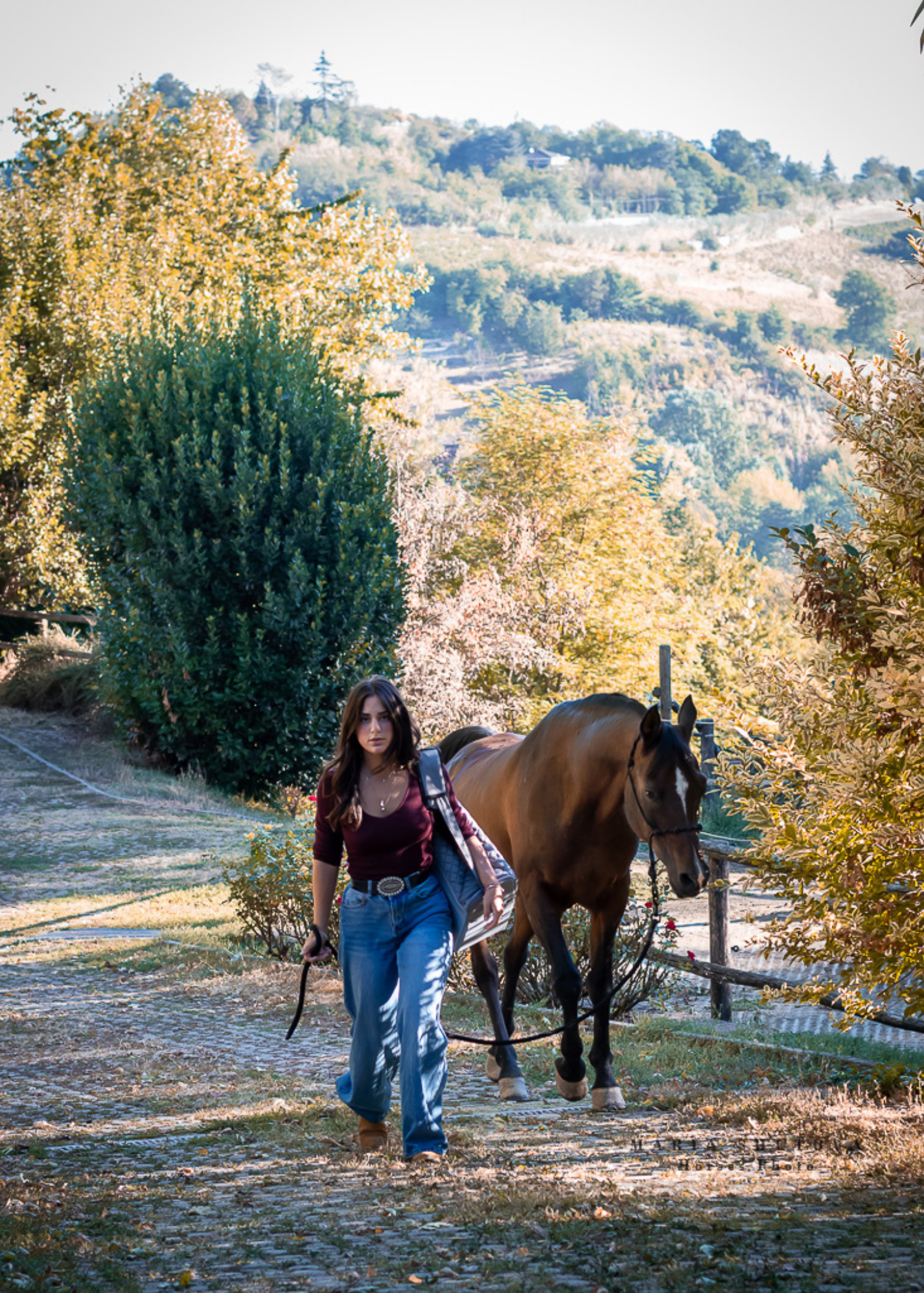 somehbags_lookbook (8).png